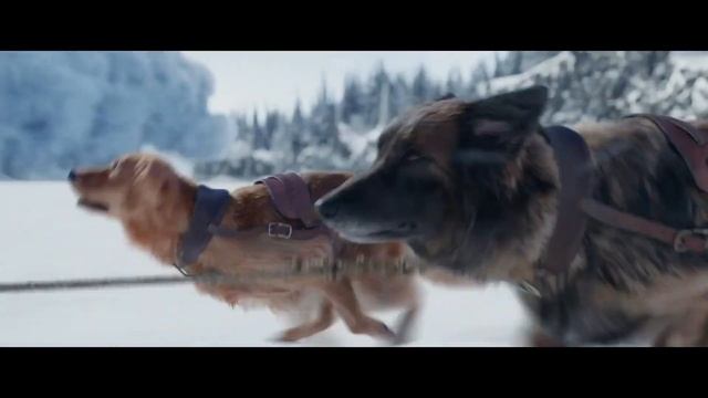 The Call of the Wild - Avalanche Clip (2020) Harrison Ford, Adventure Movie HD смотреть онлайн