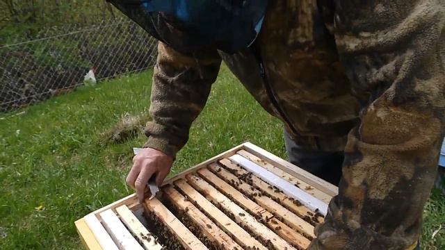 Едем за пакетами. Заселяем новый точок смотреть онлайн