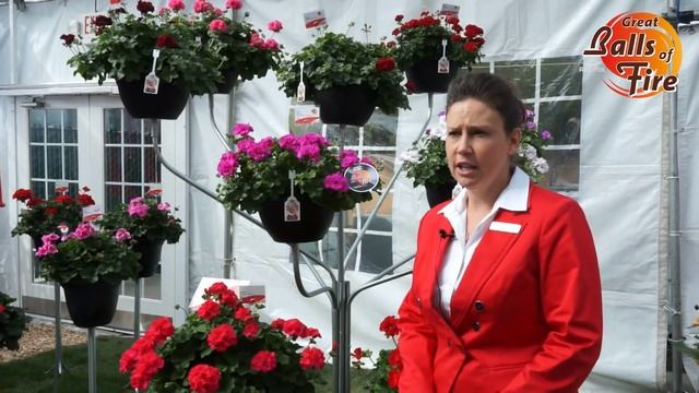 SpringTrials Great Balls of Fire смотреть онлайн