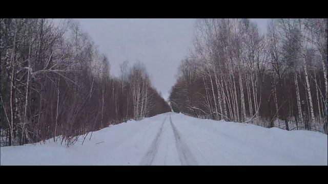 Охота. Кабан. Засидка.Ветер сносит. 2023. смотреть онлайн