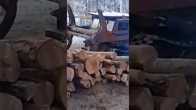 29 января 2024 г. смотреть онлайн