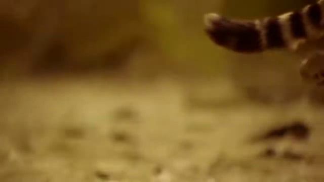 Мы бежим с тобой как будто от гепарда 🎬 2 смотреть онлайн