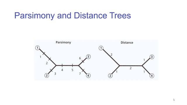 Parsimony and Distance смотреть онлайн