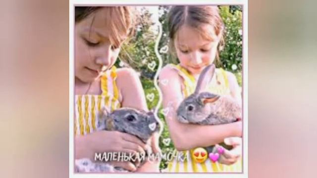 Вики шоу когда была маленькой. Вики шоу в детстве. смотреть онлайн