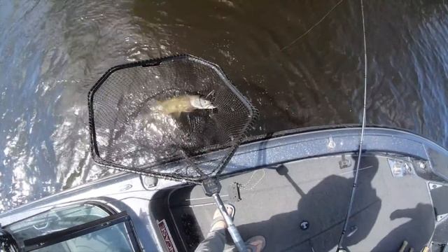 Late spring adversity 3 FISH DAY on LOTW - Public смотреть онлайн
