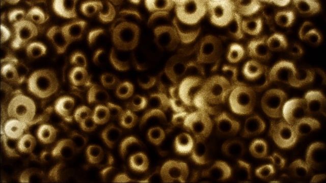 Columbia College Chicago Library Ad (Sand Animation) смотреть онлайн