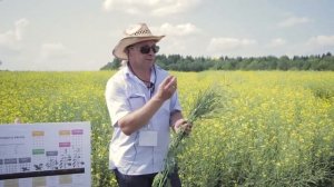 Технология выращивания ярового рапса в Кировской области от Группы «Уралхим»