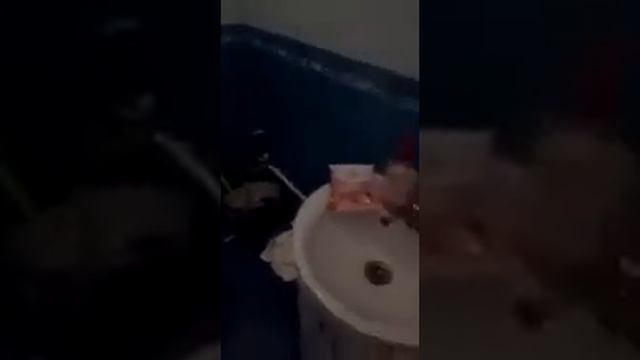 Красивый офис в аренду, нереальный ремонт лестницы и сан помещение по ул. Московская 11, г. Нежин. смотреть онлайн