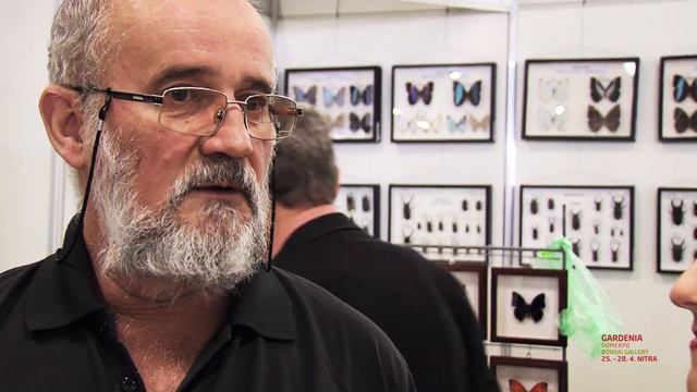 GARDENIA DOMEXPO BONSAI GALLERY 2019 Nitra смотреть онлайн