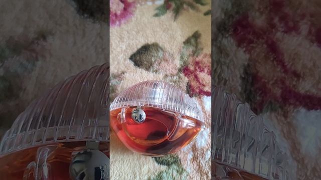 Kenzo World Power и Kenzo World ( флагман)