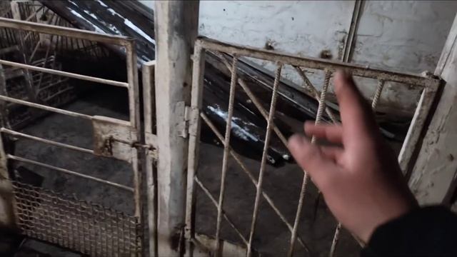 строительство свинарника, готовлю материал, пора начинать смотреть онлайн