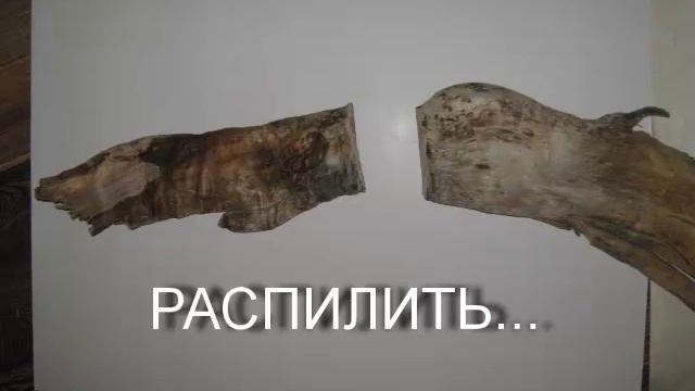 "Кальмар" с берега Днепра. Ручная работа из обломка тополя. смотреть онлайн