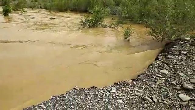 Амурчане делятся апокалиптическими фото и видео из Селемджинского района смотреть онлайн