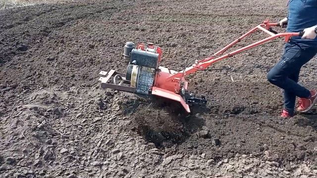 Фрезеровка лёгкий мотоблок ЗУБР ХА-31 смотреть онлайн