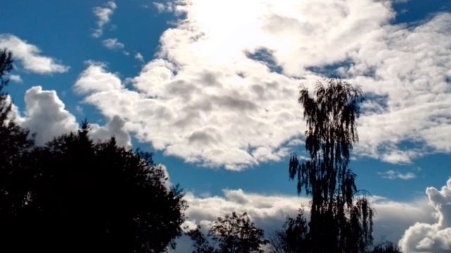 1 октября 2022 г. смотреть онлайн