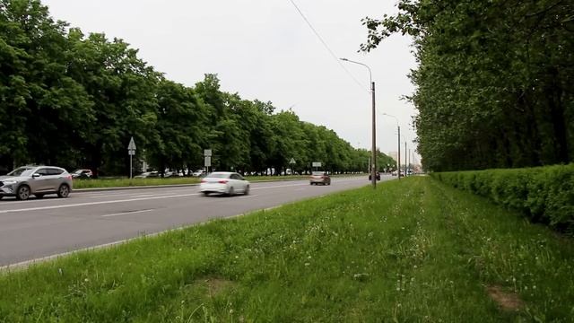 Вежливо довёл мошенницу до нервного срыва