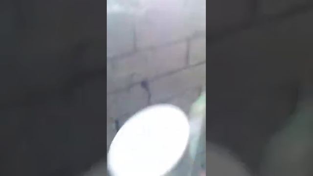 Порошковая краска iconic отзывы. как красить порошковой краской Powder paint iconic. смотреть онлайн