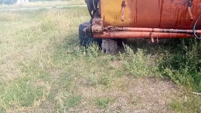 на уборку! смотреть онлайн