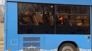«Транспорт в России». «Транспорт Верхневолжья». Новые автобусы Твери | New buses in Tver