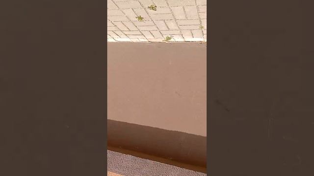 Молодечно. расклейка по подъездам. вам нужна расклейка за процент пишите reklamaraskleika@mail.ru смотреть онлайн