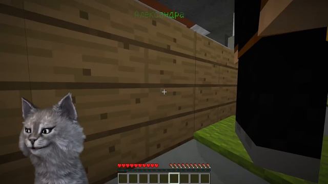 НЕПОСЛУШНЫЙ КОТЁНОК СЛОМАЛ КОШАЧИЙ ПЕРЕВОДЧИК! - МАЙНКРАФТ ЖИЗНЬ КОТИКА 6 СЕРИЯ смотреть онлайн