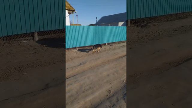 Кигач ММС 23.11.2019 смотреть онлайн