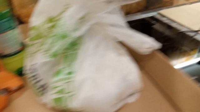 Обои отклеились Все пропало!!! 55 квадратов смотреть онлайн