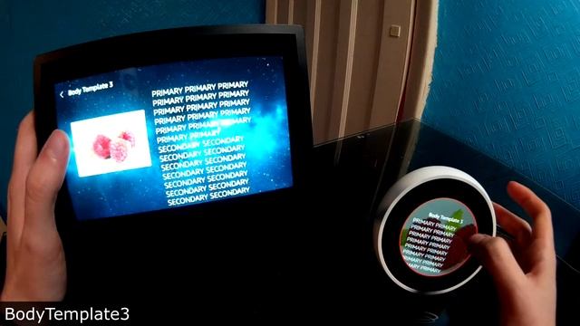 Exploring how Body Templates/List Templates Render on the Echo Show/Echo Spot смотреть онлайн