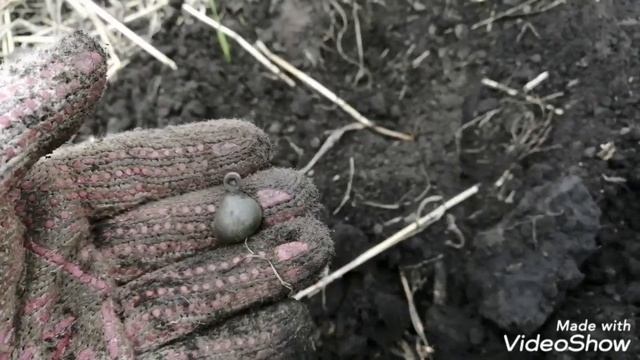 Древние находки на берегу старой реки. смотреть онлайн