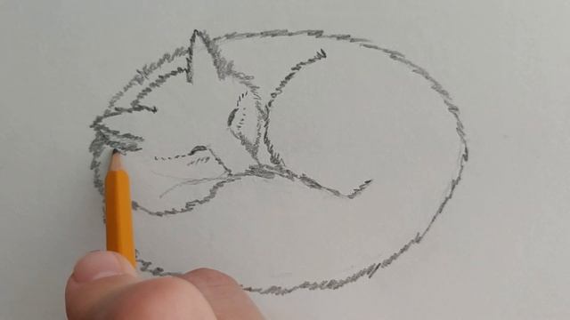 How to Draw a sleeping Fox. Speed painting смотреть онлайн