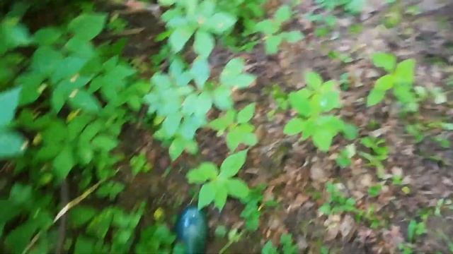 Проект запруда... Начало. Часть первая смотреть онлайн