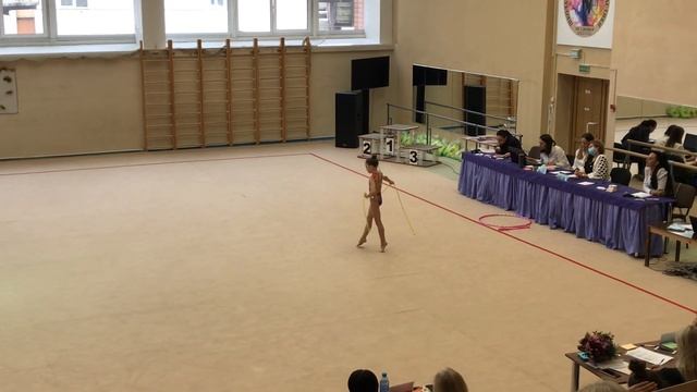 Фестиваль талантов. Номинация "В мире моих увлечений" - Богдан Варвара 3 Б класс смотреть онлайн