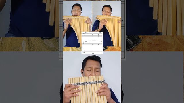 Waltz Nro 2 #flute #quena #music #waltz смотреть онлайн