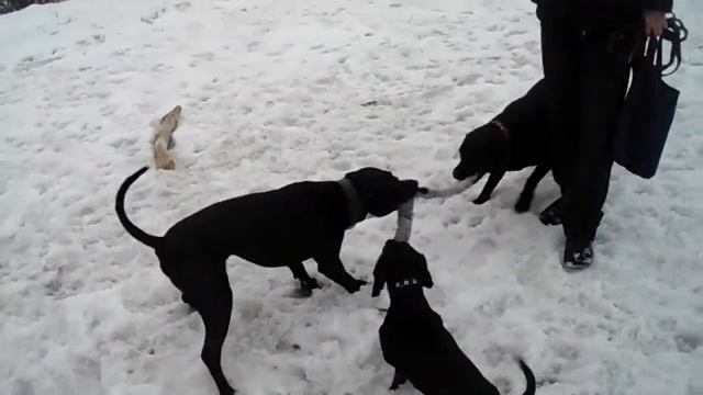 Игра в перетяжку. смотреть онлайн