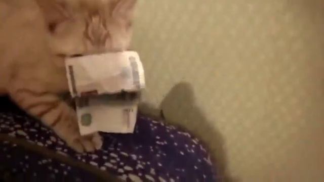 Отдай деньги смотреть онлайн