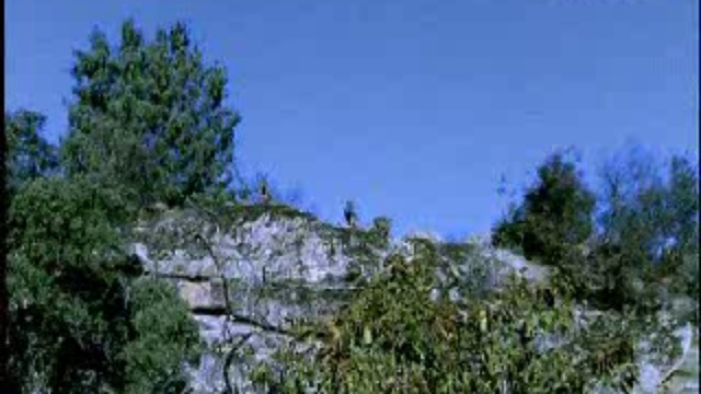 Волчьи горы смотреть онлайн