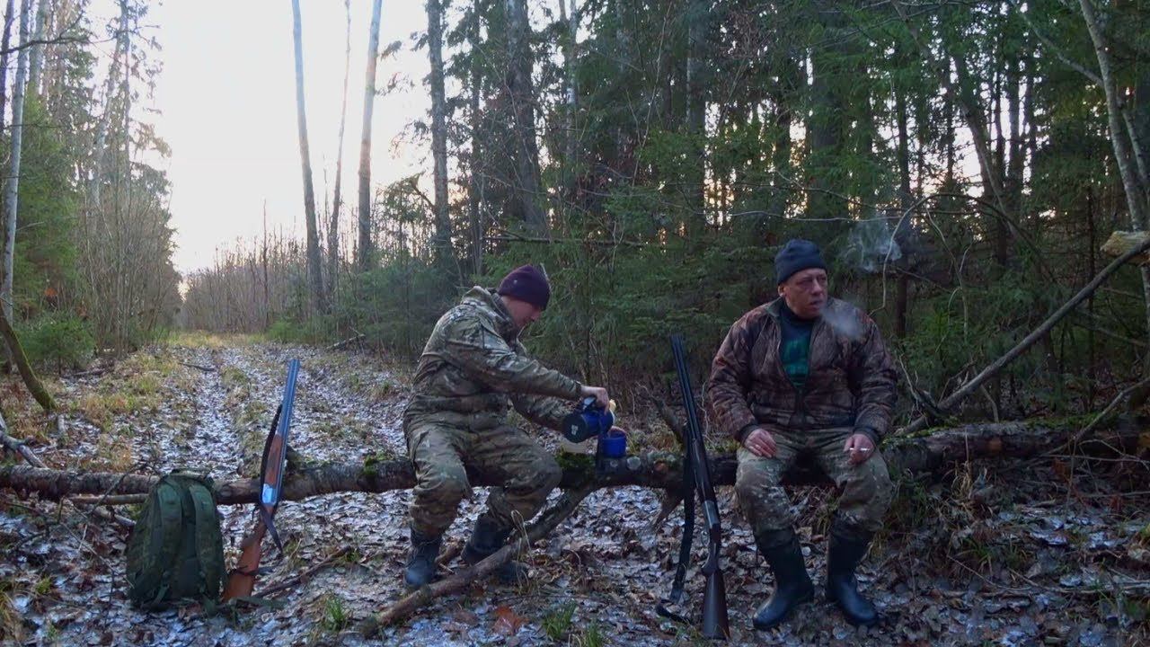 Охота на Рябчика с манком. Свист рябчика. На вырубке. смотреть онлайн