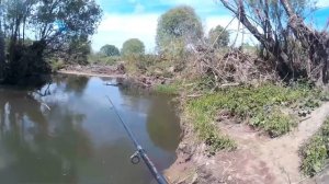 Ловля щуки на живца в запрет!