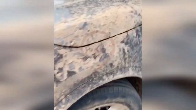 Каршеринг Не Мое Не Жалко!