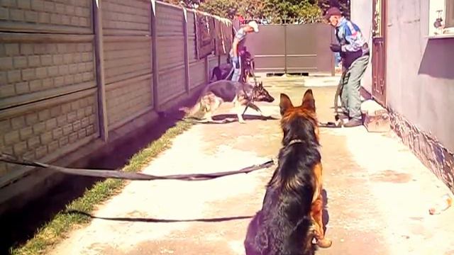 Второй подход по ЗКС. Первое занятие! смотреть онлайн