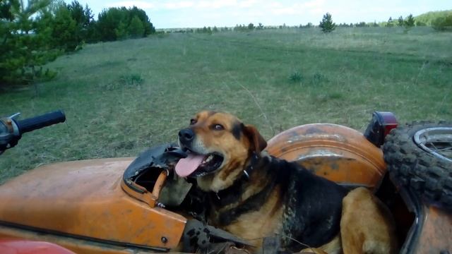 Ждём сезон, вспоминая лето! смотреть онлайн