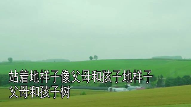 [KURUKURUBUS] HOKKAIDO PATCHWORK LOAD - CHN смотреть онлайн