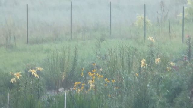 До, во время и после грозы. смотреть онлайн