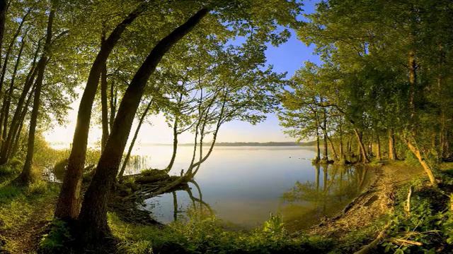 92  Не судите да не судимы будете