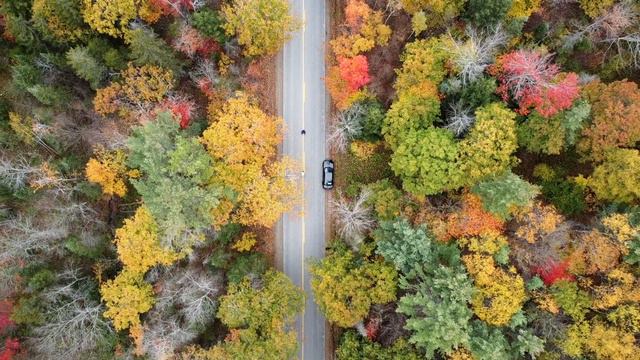 Drone Footage of Fall Foliage or Autumn of New Hampshire, USA. смотреть онлайн