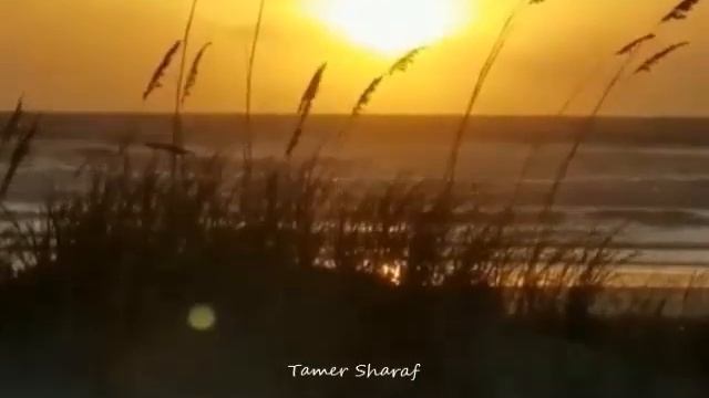 Power Of Love - Instrumental смотреть онлайн