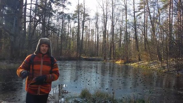 Почему человек вымирает? Что делать? Может ли человек уничтожить природу?