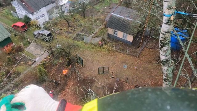 Арбористика‼️Аккуратное спиливание 30 метровых берез,наклонившихся на дом. Stihl ms462 в действии!! смотреть онлайн