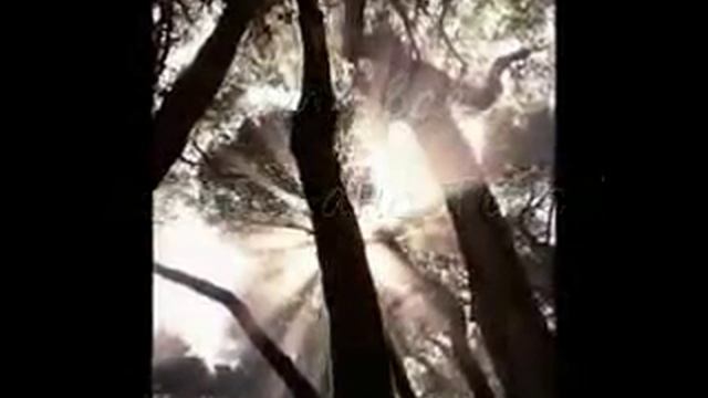 Молитва Оптинских старцев смотреть онлайн