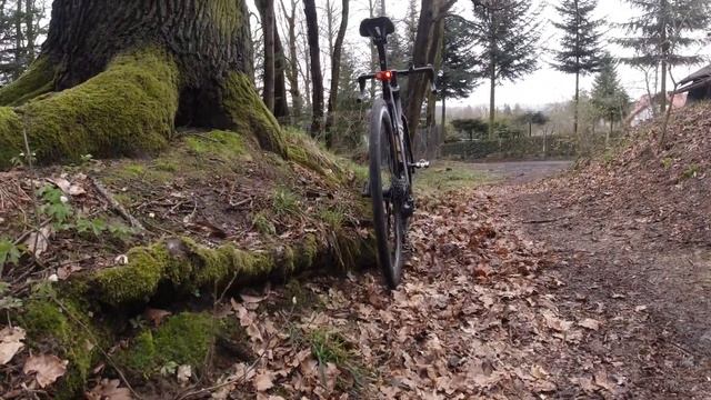 ❌ CANYON Endurace CF SL ❌ ENDURANCE ROAD BIKE ❌